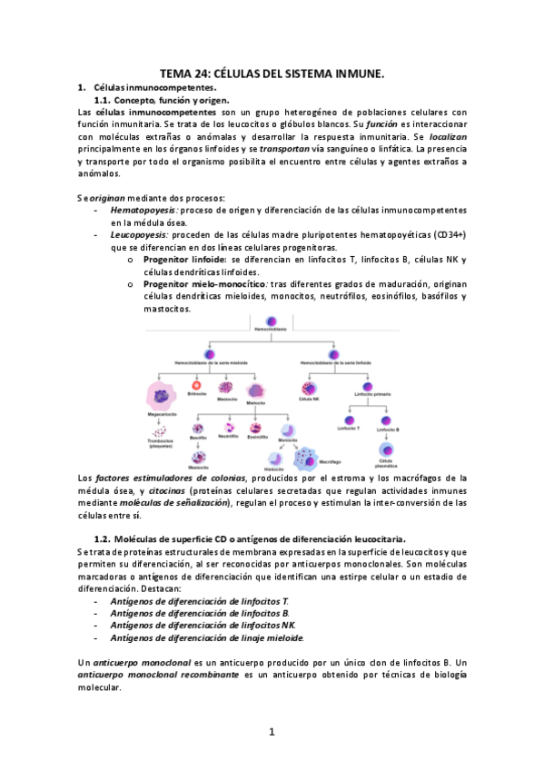 Miniatura del documento Tema-24-Celulas-del-sistema-inmune.pdf