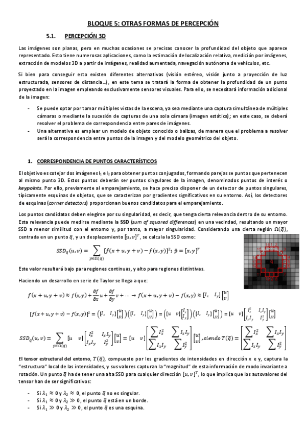 Miniatura del documento SdP-Bloque-5.pdf