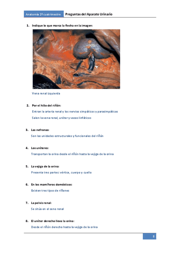 Miniatura del documento Preguntes-urinari.pdf