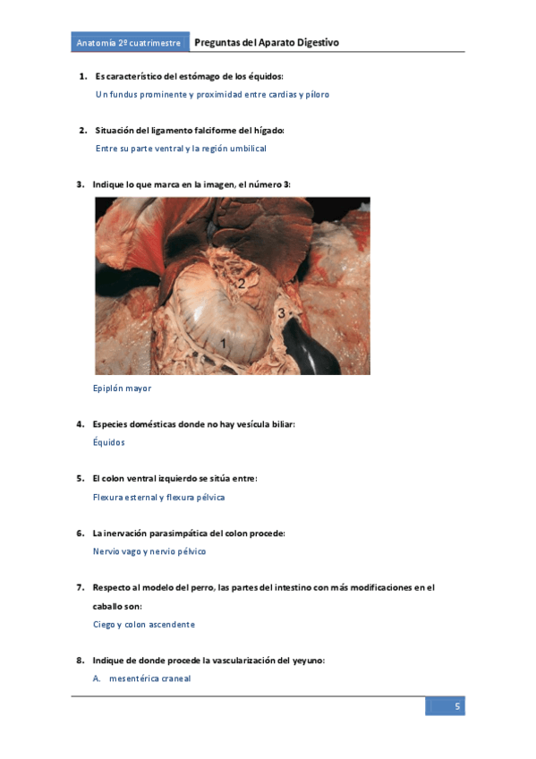 Miniatura del documento Preguntes-digestiu.pdf
