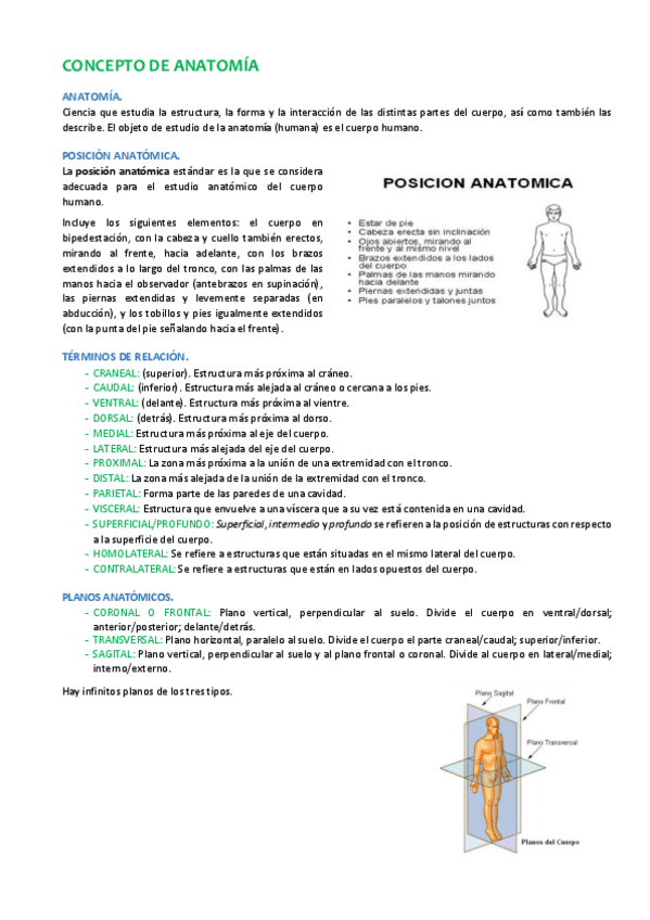 Miniatura del documento 1-CONCEPTO DE ANATOMÍA.pdf