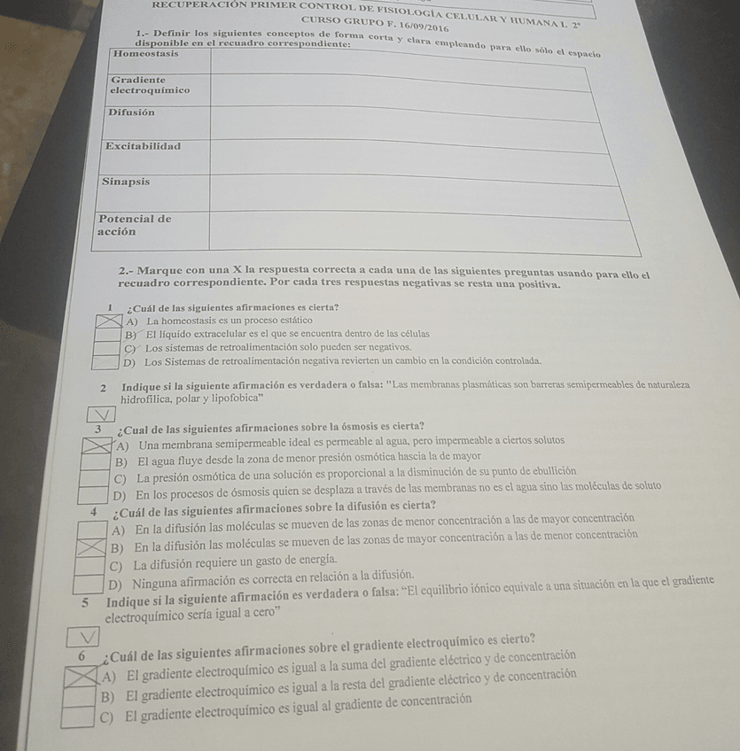 Miniatura del documento 1.1.jpg