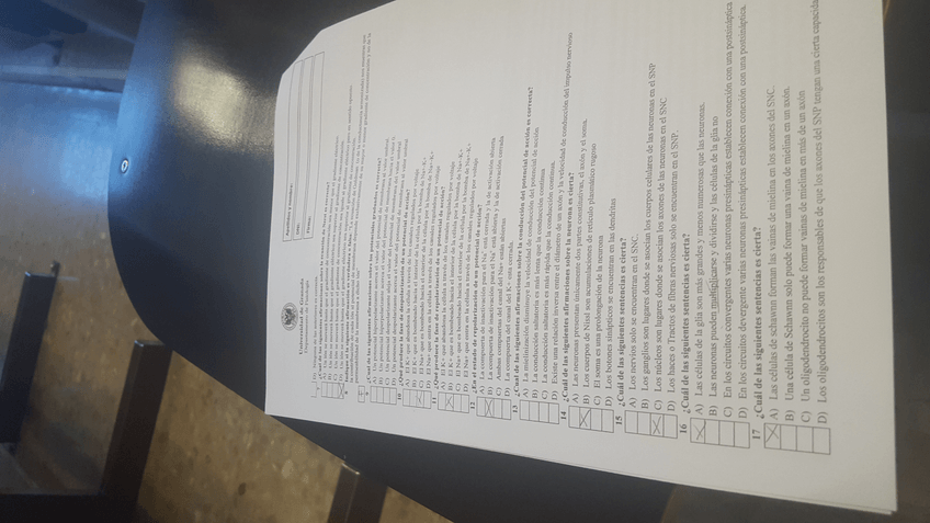 Miniatura del documento 1.2.jpg