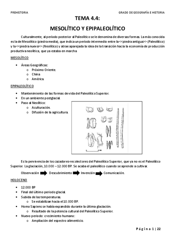 Miniatura del documento Epipaleolitico-Mesolitico-Neolitico-y-Edad-Bronce.pdf