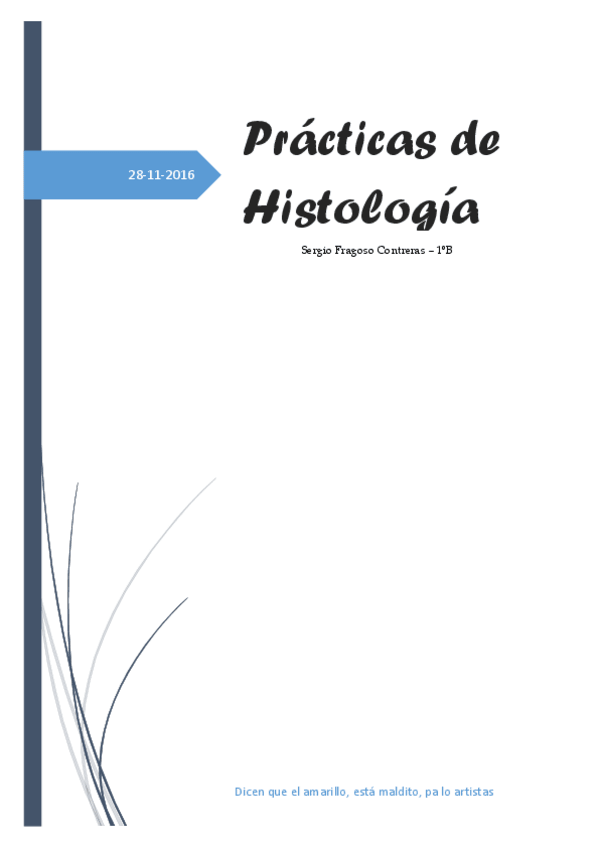 Miniatura del documento RESUMEN PRÁCTICAS POR SERGIO .pdf