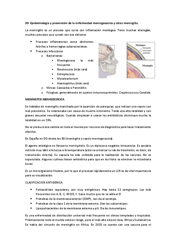 Miniatura del documento TEMA 29 SALUD PUBLICA.pdf