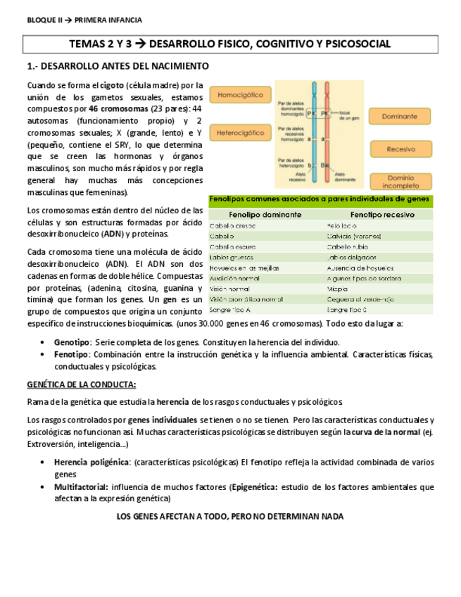Miniatura del documento TEMA-2-y-3-primera-infancia.pdf