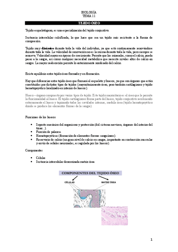 Miniatura del documento T.pdf