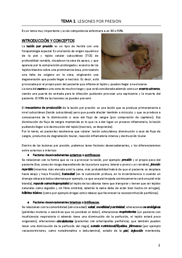 Miniatura del documento Tema-1.pdf