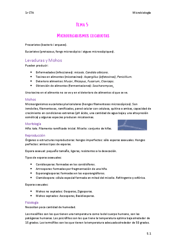 Miniatura del documento Micro-Tema-5.pdf