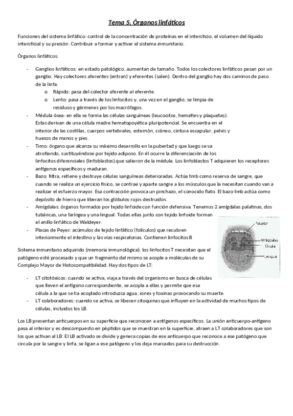 Miniatura del documento Tema-5.pdf