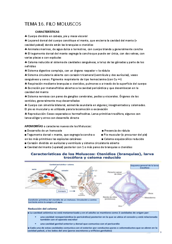 Miniatura del documento Temas-16-24-y-43-44-zoo.pdf