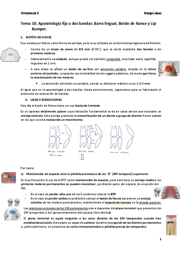 Miniatura del documento Tema-10-Orto-II.pdf