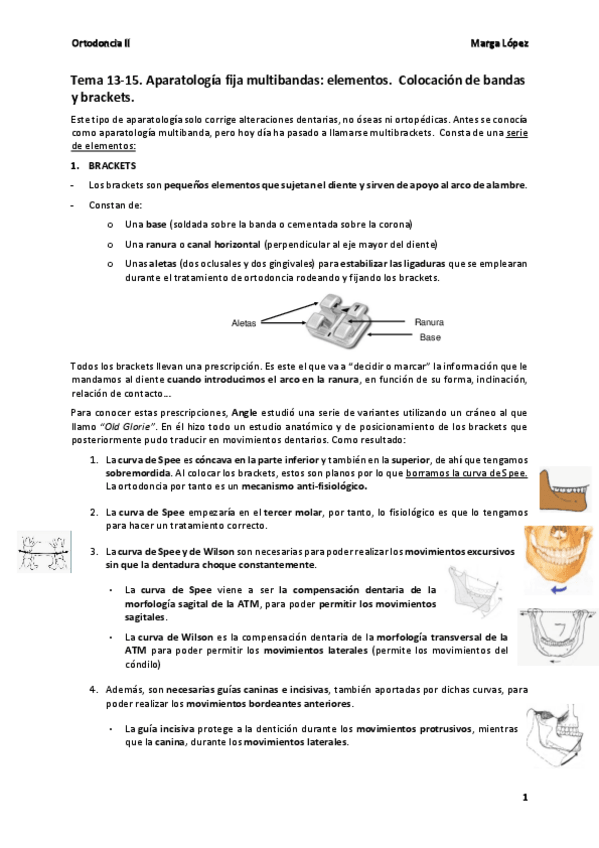 Miniatura del documento Tema-13-15-Orto-II.pdf