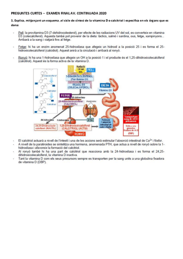 Miniatura del documento preguntes-curtes-final.pdf