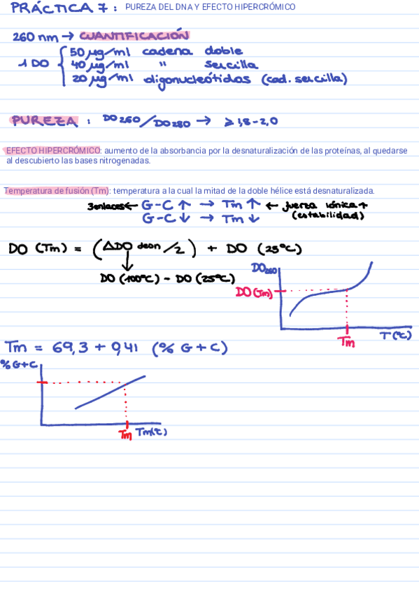 Miniatura del documento Resumen-practicas.pdf