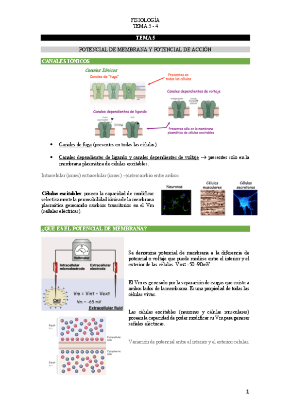 Miniatura del documento T.pdf