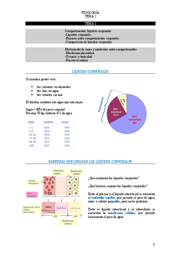 Miniatura del documento T.pdf