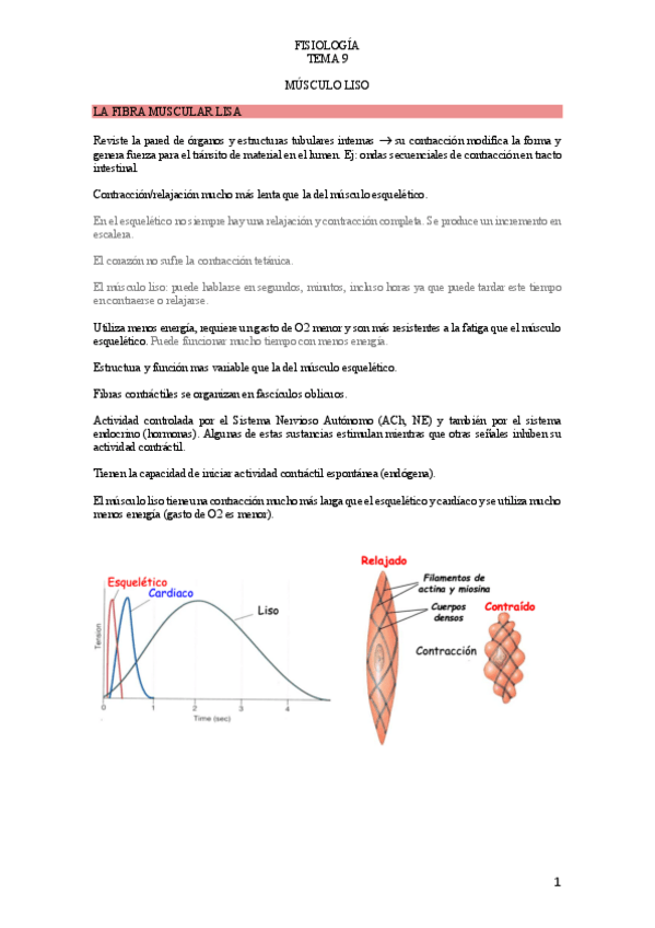 Miniatura del documento T.pdf