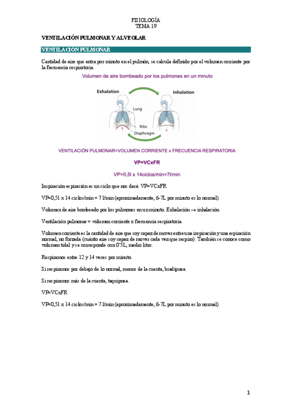 Miniatura del documento T.pdf