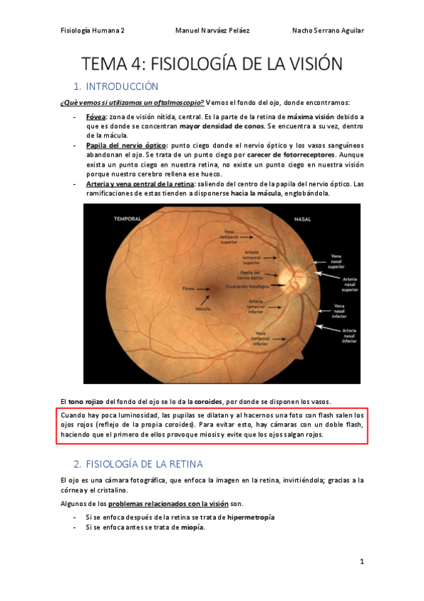 Miniatura del documento TEMA 4: FISIOLOGÍA DE LA VISIÓN