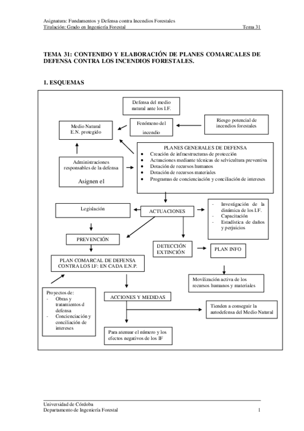 Miniatura del documento TEMA-31Contenido-y-elaboracion-de-planes-comarcales-de-defensa-contra-los-incendios-forestales-sin-analisis-multicriterio.pdf