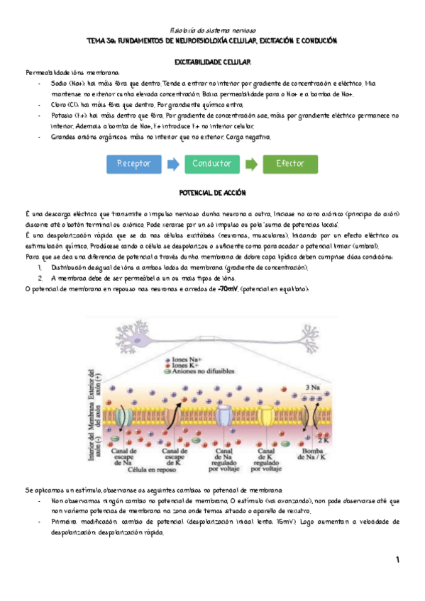 Miniatura del documento TEMA39.pdf