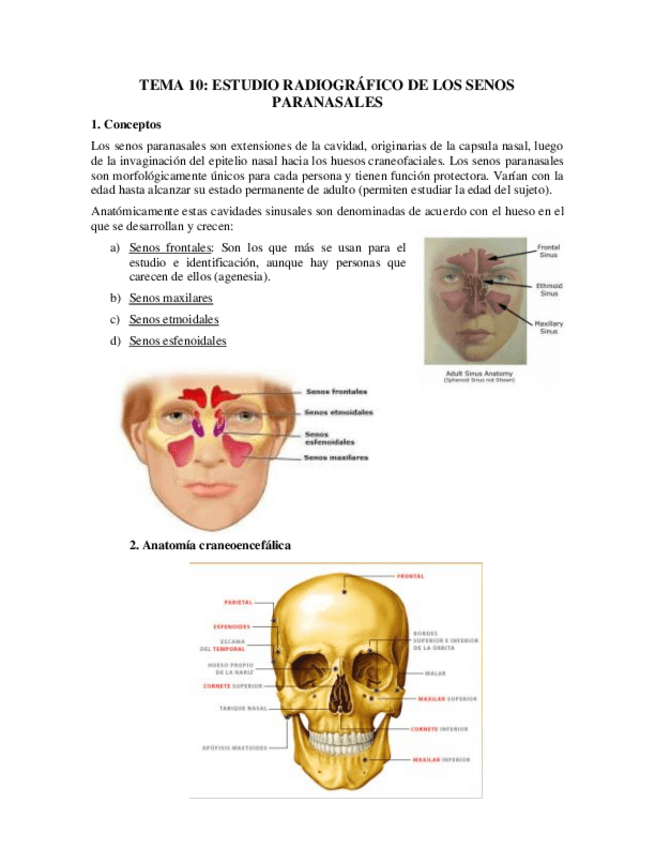 Miniatura del documento Tema-10.pdf