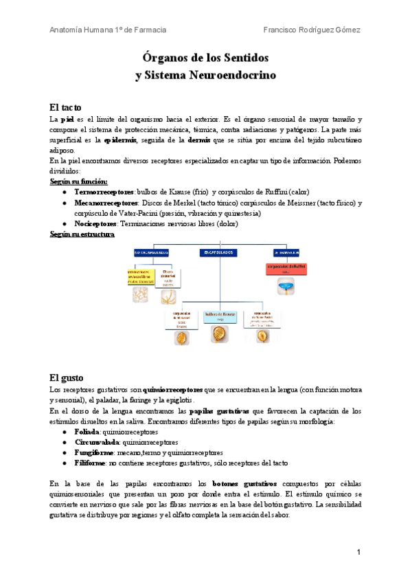 Miniatura del documento Sentidos-y-S.pdf