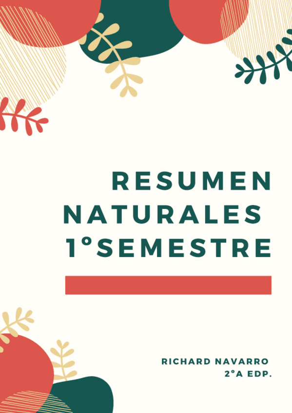 Miniatura del documento RESUMEN-1o-SEMESTRE-NATURALES.pdf
