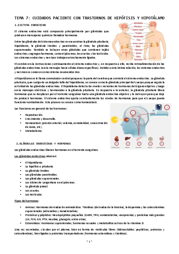 Miniatura del documento Tema-7-cuidados-paciente-con-trastornos-hipofisis-y-hipotalamo.pdf