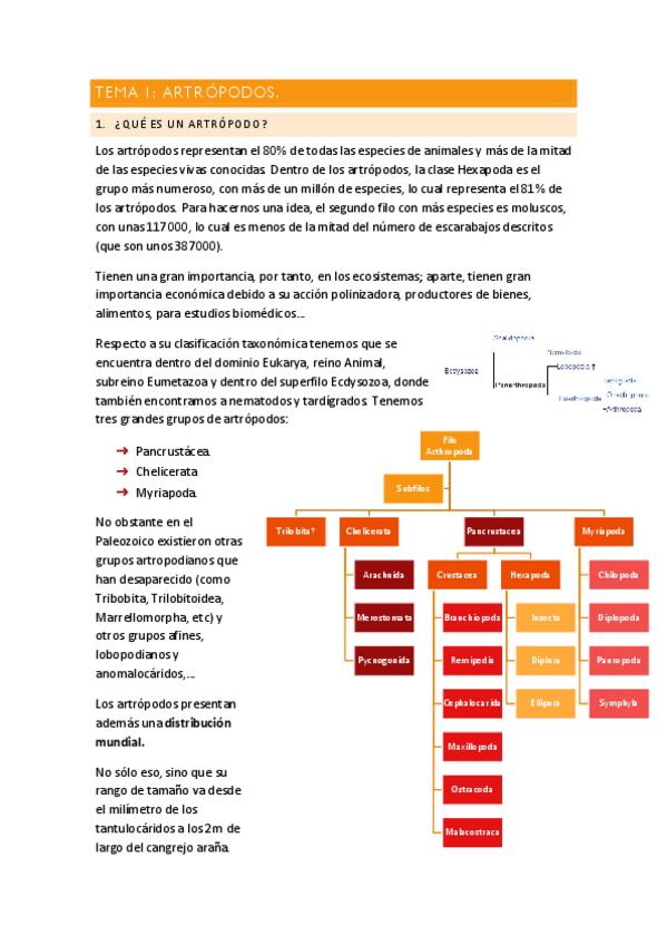 Miniatura del documento Generalidades Artrópodos.pdf