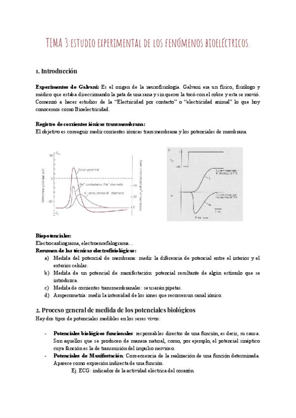 Miniatura del documento TEMA-3-1.pdf