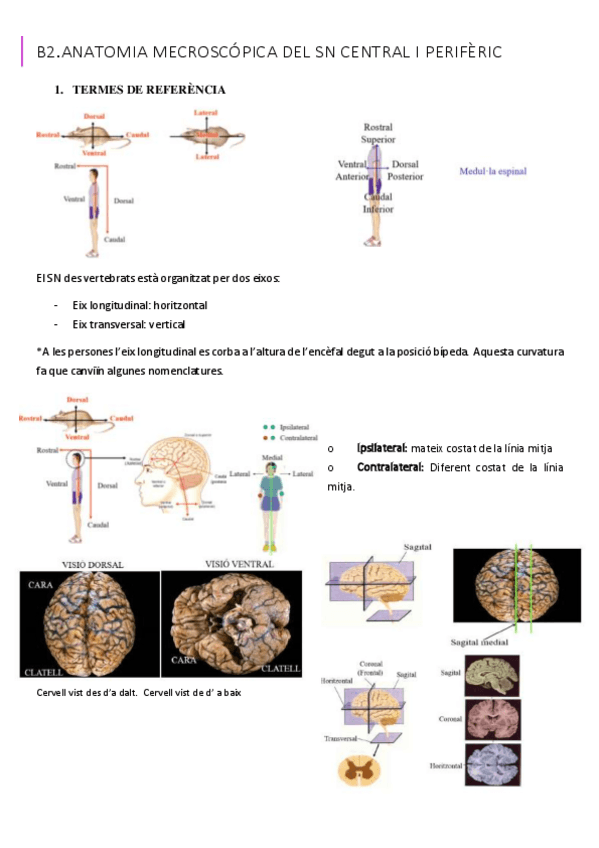 Miniatura del documento B2.pdf