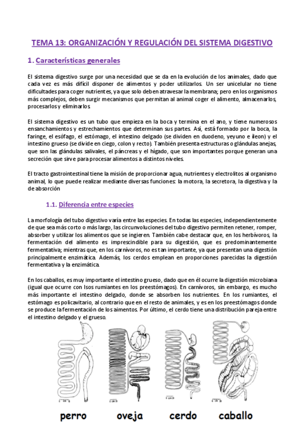 Miniatura del documento TEMA-13-Fisiologia.pdf