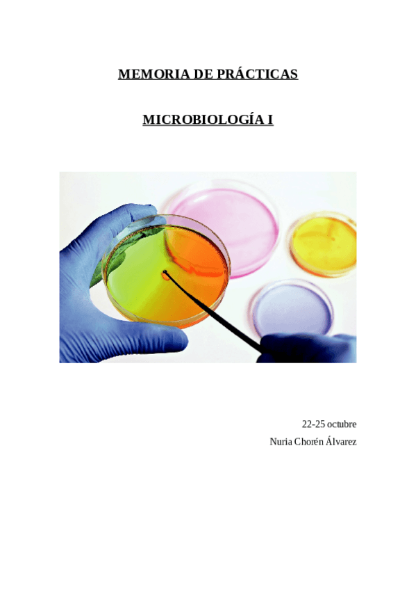 Miniatura del documento MEMORIA-DE-PRACTICAS.pdf