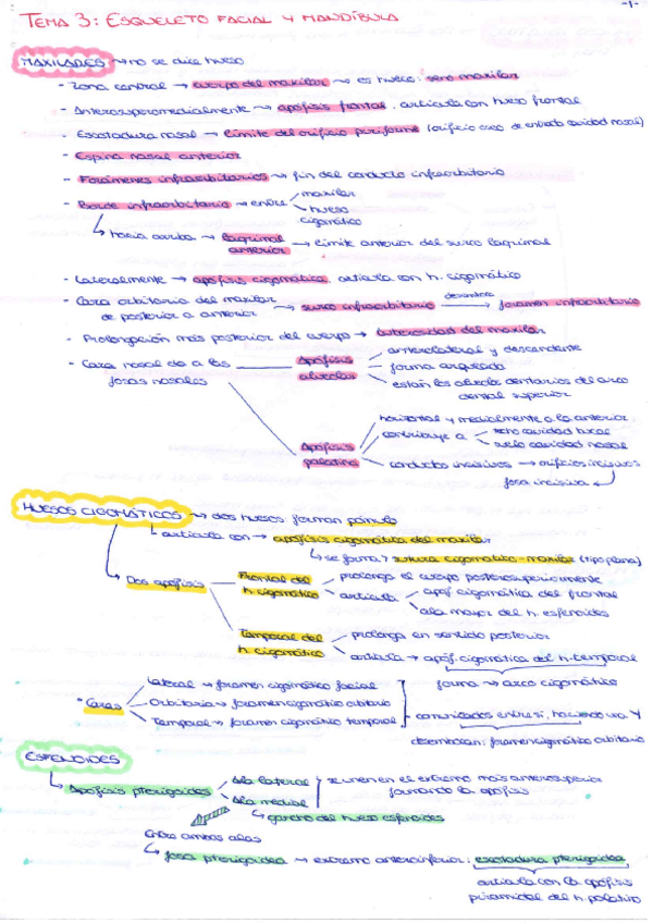 Miniatura del documento Tema-3.pdf