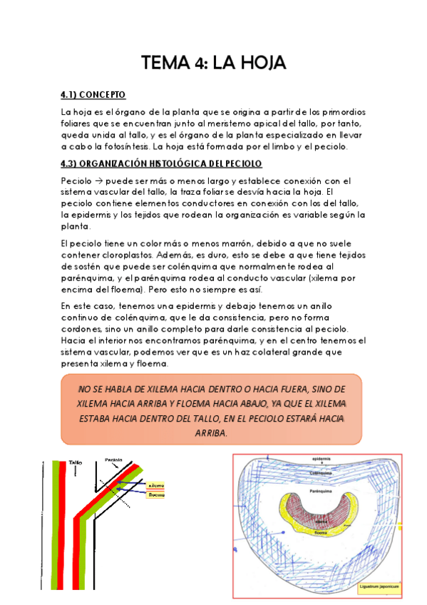 Miniatura del documento TEMA-4.pdf
