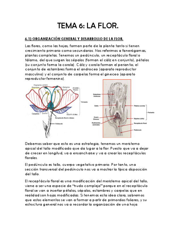 Miniatura del documento TEMA-6.pdf