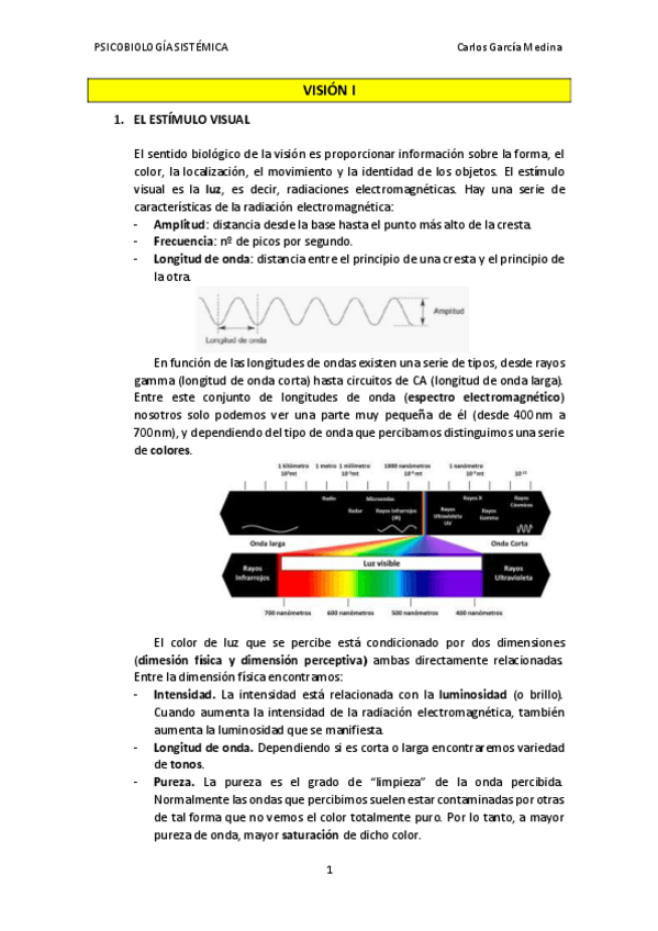 Miniatura del documento Vision.pdf