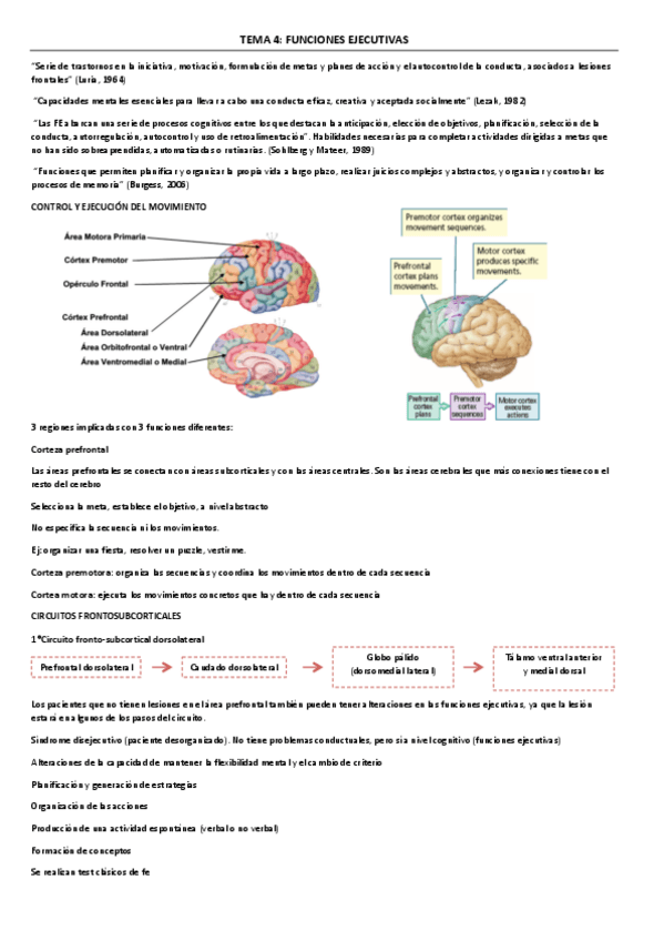 Miniatura del documento TEMA-4.pdf