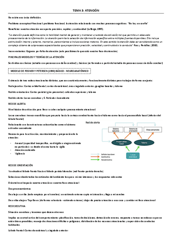 Miniatura del documento T3-NC.pdf
