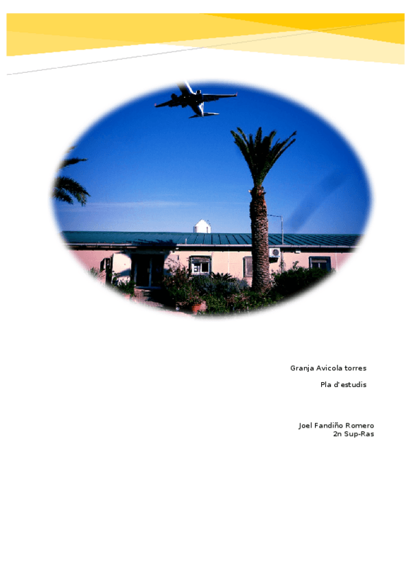 Miniatura del documento Pla-destudis-aus-i-ous.docx