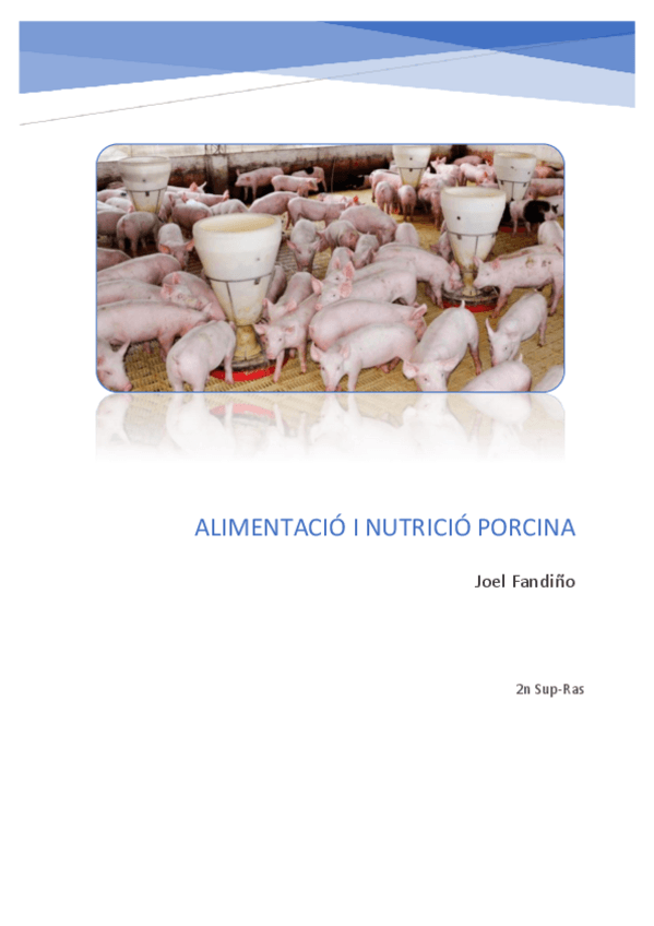Miniatura del documento Racio-Porc-Ivan.pdf