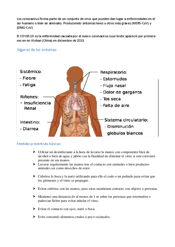 Miniatura del documento CORONAVIRUS.pdf