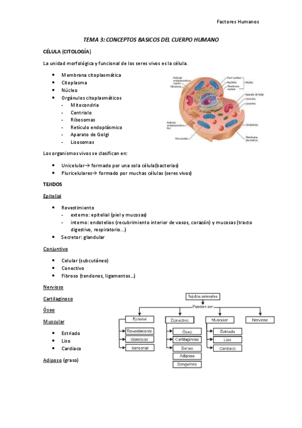 Miniatura del documento TEMA-3.pdf