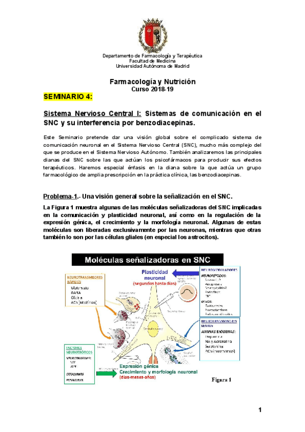 Miniatura del documento SEMINARIO-4.pdf
