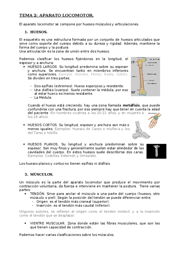 Miniatura del documento TEMA-2.docx