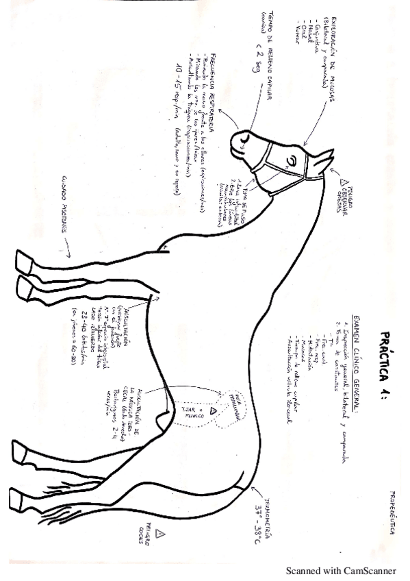 Miniatura del documento 244742.pdf