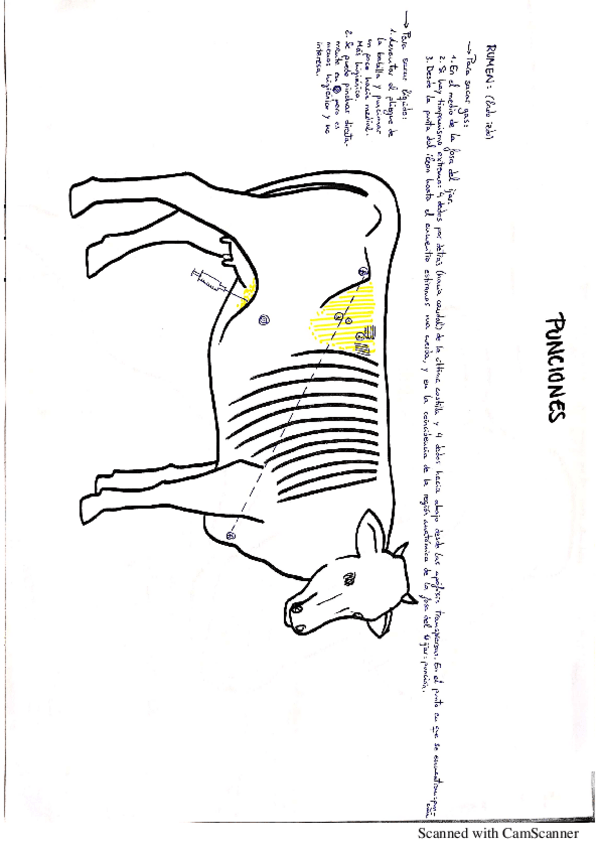 Miniatura del documento 244739.pdf